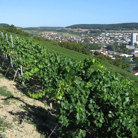 Hotel Weinstube Schwalbennest Karlstadt Zewnętrze zdjęcie