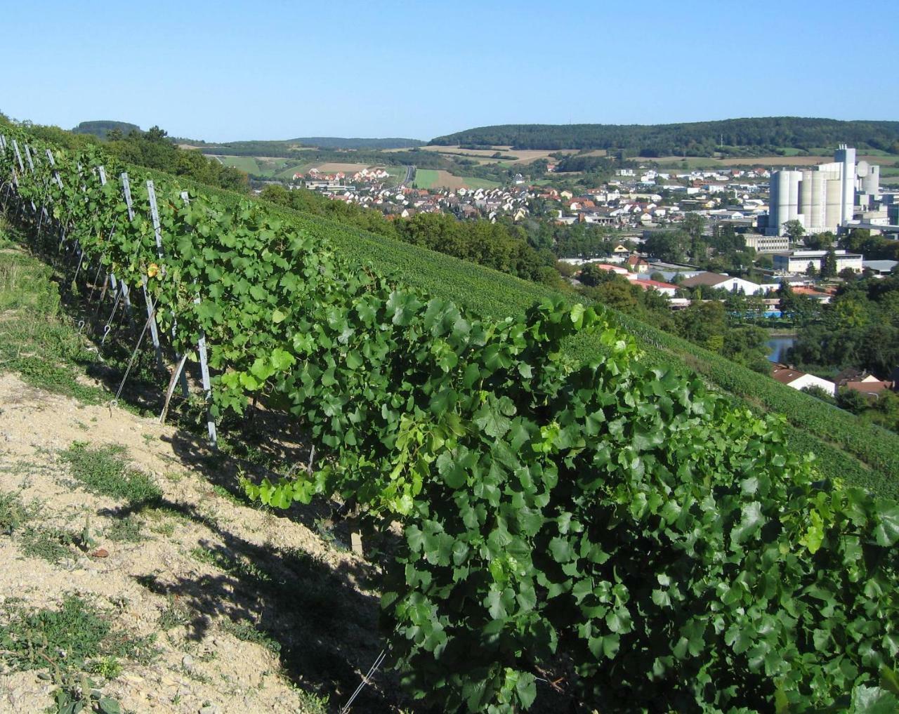 Hotel Weinstube Schwalbennest Karlstadt Zewnętrze zdjęcie